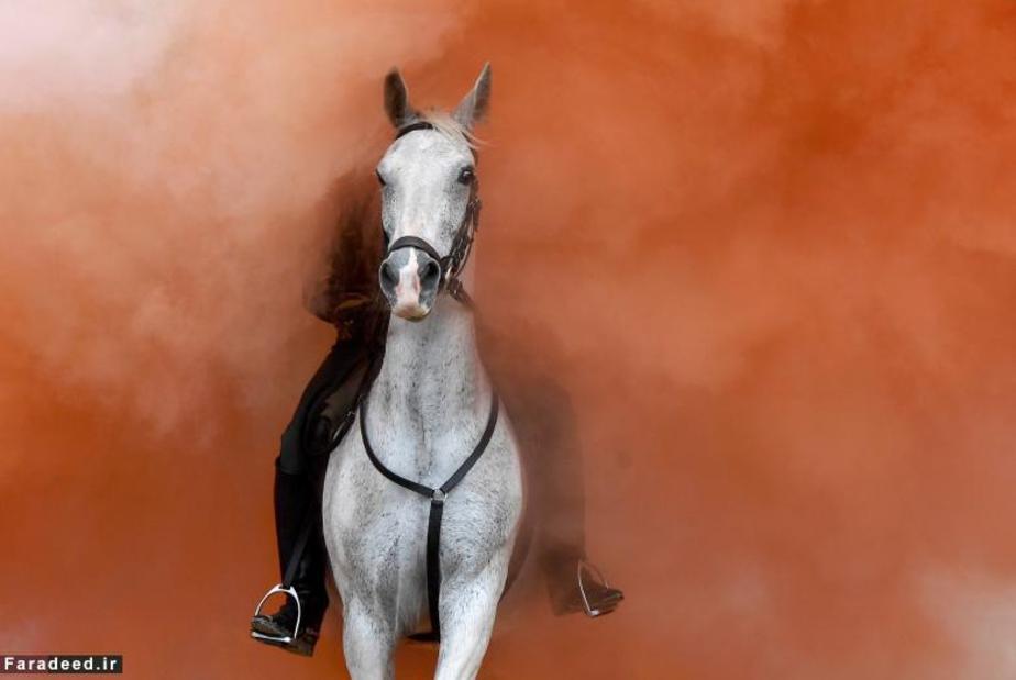 اعضای سواره نظام هلند