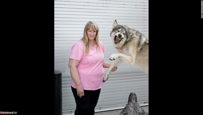 کارولین براک دولنی اهل فرانکفورد است و با یک گرگ تاکسیدرمی شده عکس گرفته است.