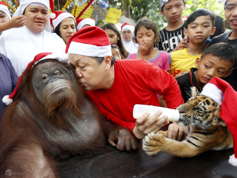 مانی تانگو موسس باغ وحش مالابون با کودکان یتیم در جشن کریسمس در مانیل فیلیپین