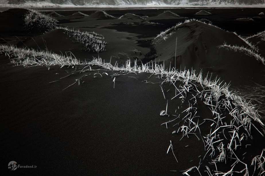 پیتر کاری، ش و ماسه سیاه ایسلند