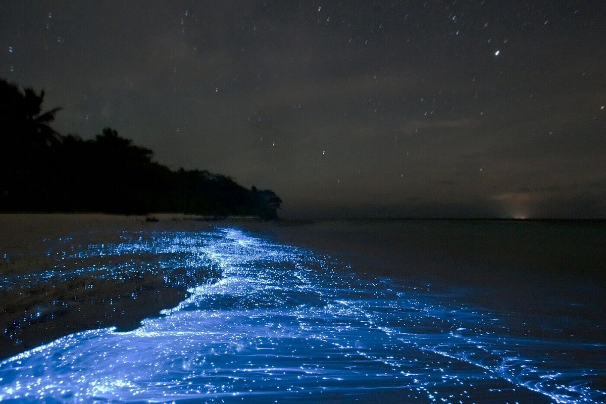 (تصاویر) عجیبترین جاذبههای طبیعی دنیا کجا قرار دارند؟/// (تصاویر) عجیبترین جاذبههای طبیعی دنیا کجا قرار دارند؟///