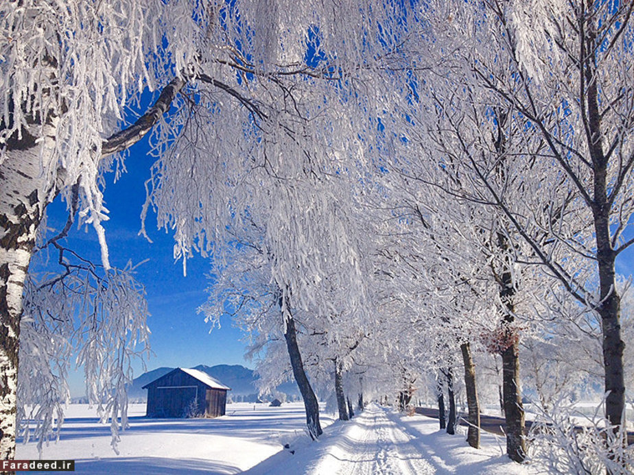 سرما در جنوب آلمان