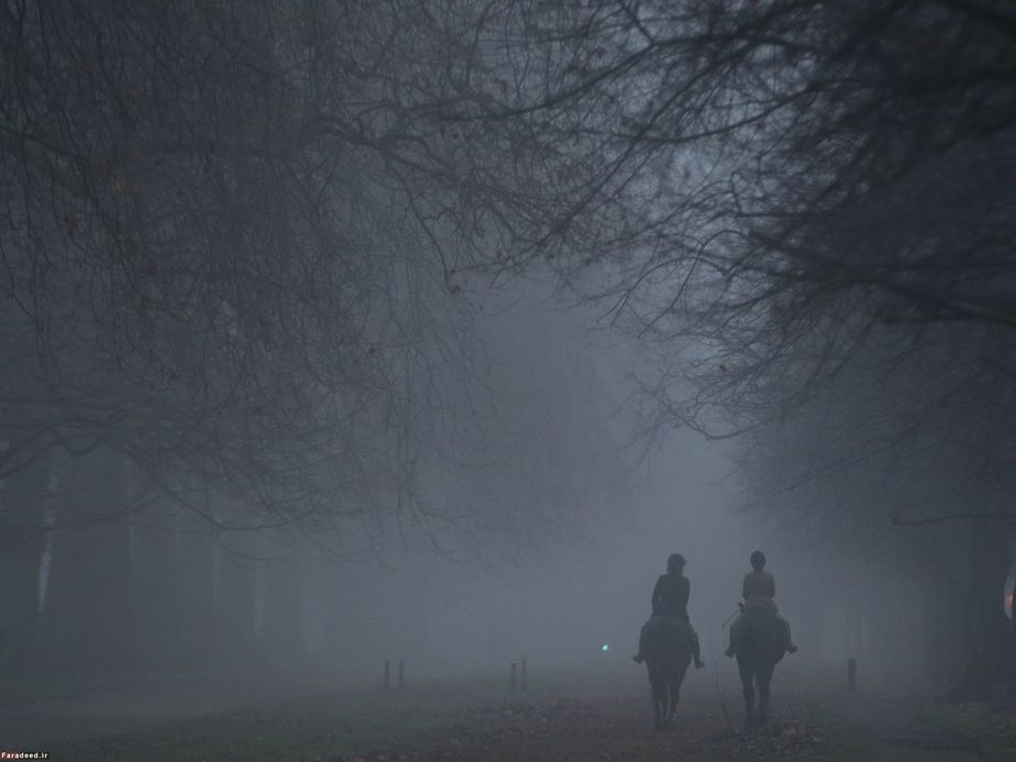 اسب سواری صبح زود در لندن