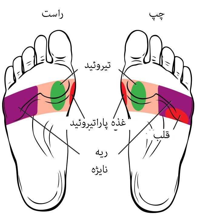 نقاط ماساژ کف پا را بشناسید