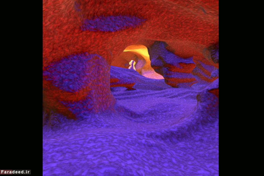 عکس از درون چشم؛ یکی از بیست تصویر برنده مسابقه ولکام 2016