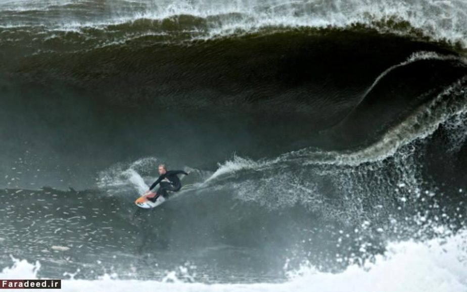 موج‌سواری در سیدنی