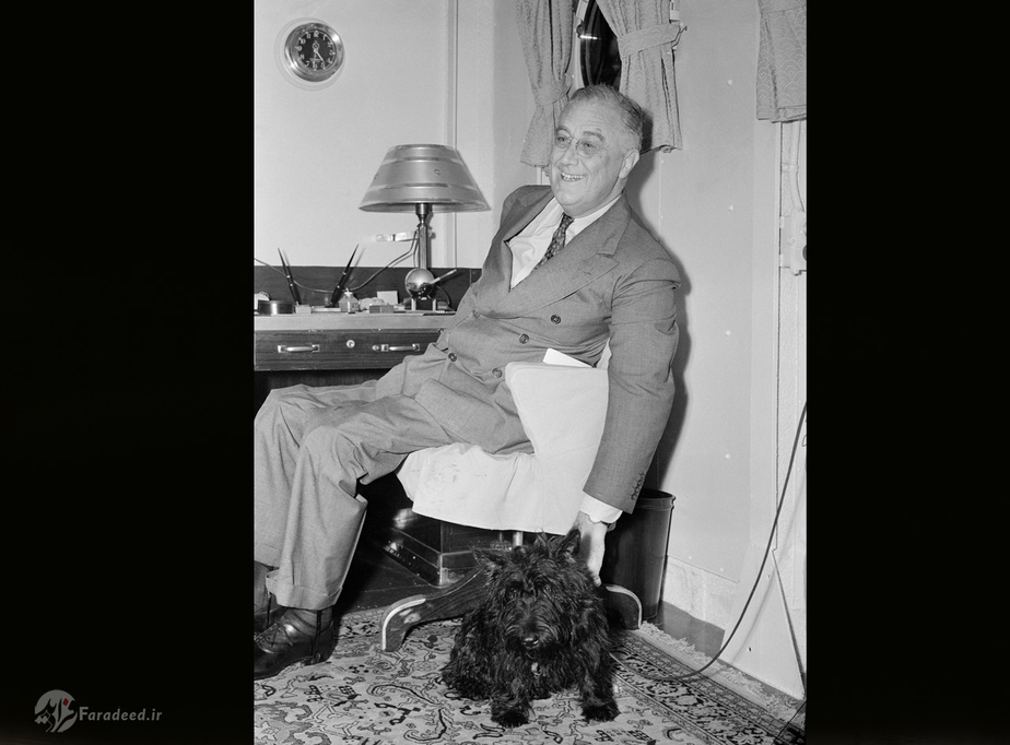 روزلوت و سگ نژاد اسکاتلندی او در کنفرانس مطبوعاتی 1940