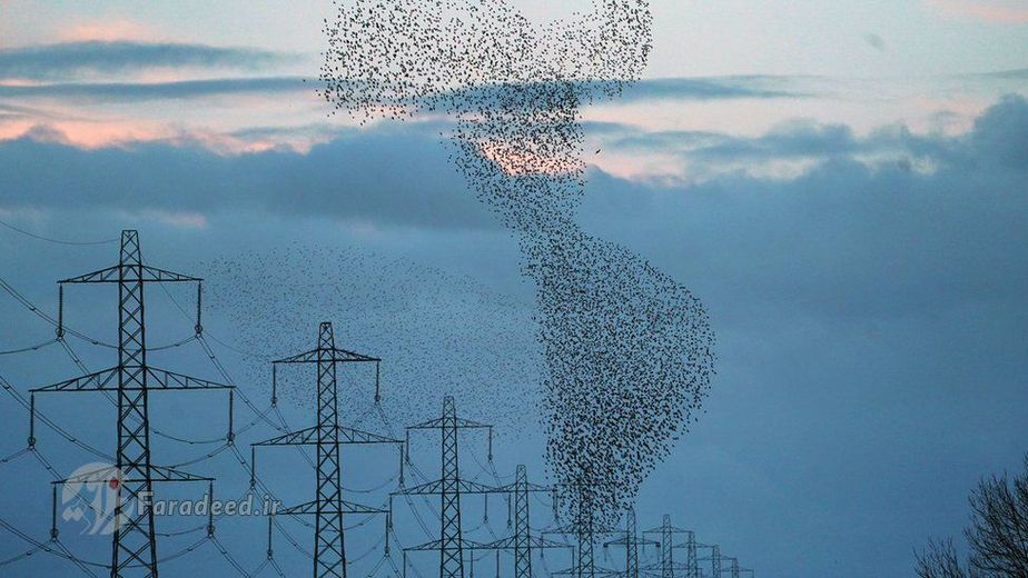 مردم این اواخر درآسمان گرتنا در جنوب اسکاتلند، شاهد نمایش بسیار دیدنی از پرواز 