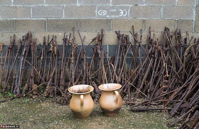 تفنگ‌های زنگ زده که در نزدیکی شهر وردن پیدا شدند