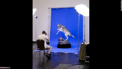 گرگِ ساخته شده توسط براک دولنی