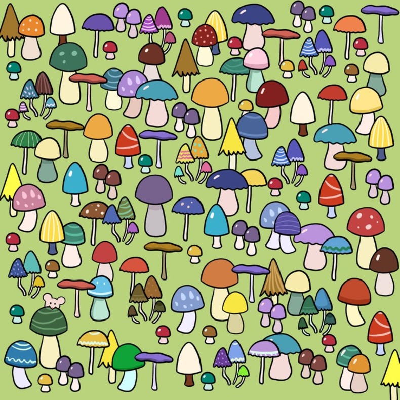 معمای شماره ۷ موشی که در این تصویر پنهان شده را پیدا کنید. 