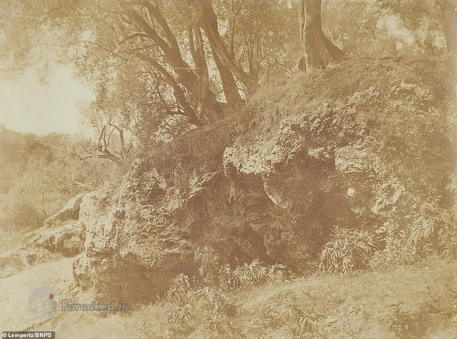 تصویری نادر از رم