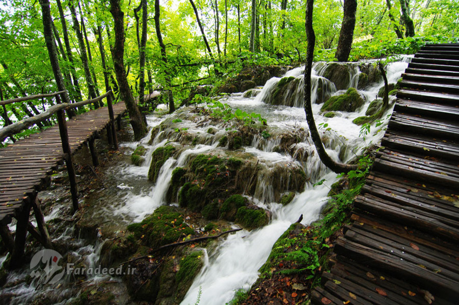 رودخانه‌ها در پارک ملی
