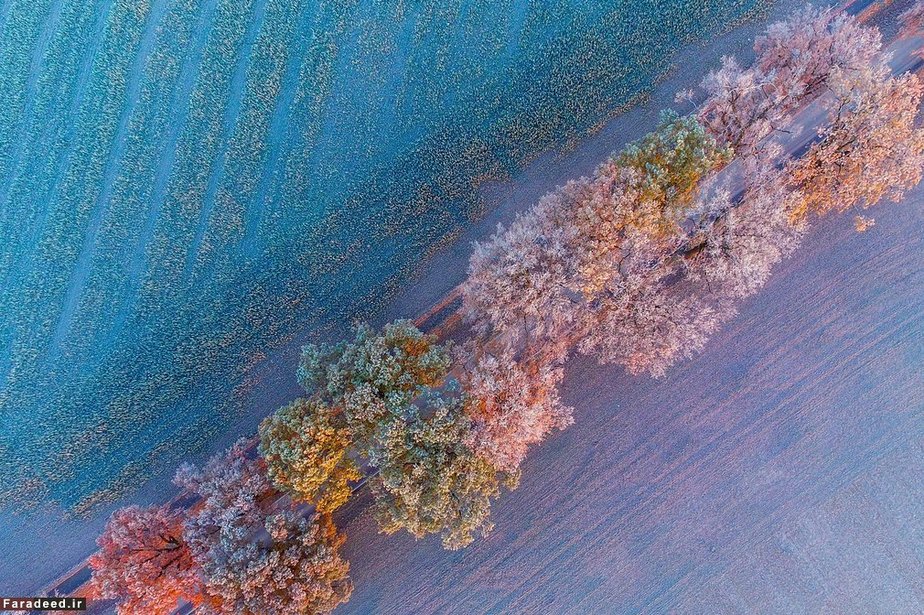 پاییز در براندنبورگ، آلمان