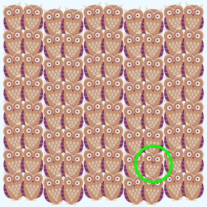 جواب معمای شماره ۲۳