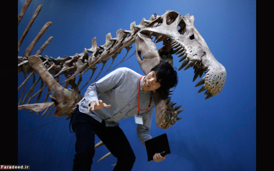 پیش‌نمایش نمایشگاه دایناسورها در موزه ملی طبیعت و علم توکیو