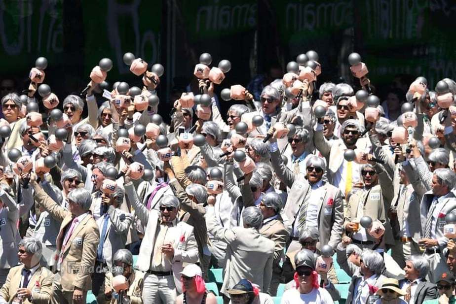 طرفداران تیم کریکت 