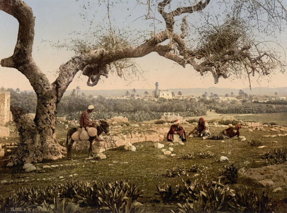 لاد شهری در فلسطین اشغالی