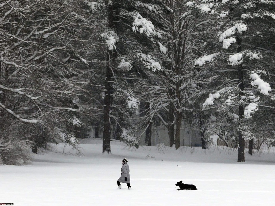 پیاده روی در برف