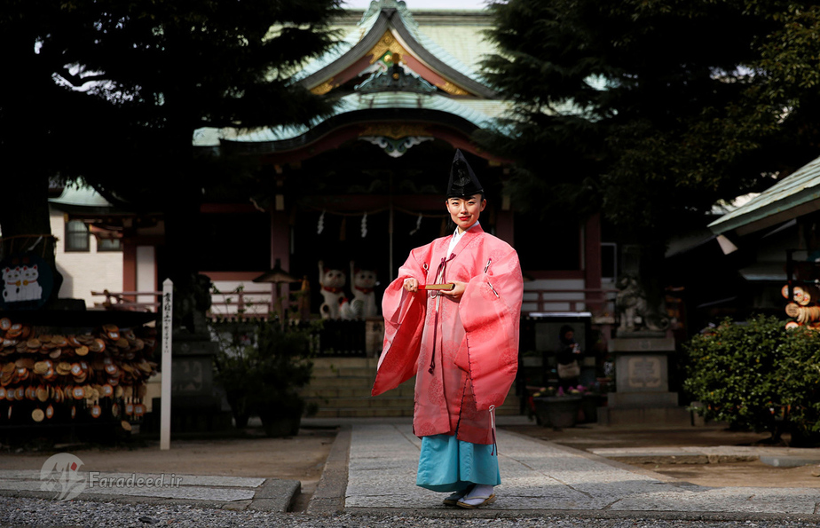 تومو ایچینو، 40 ساله، راهب شینتو، ژاپن