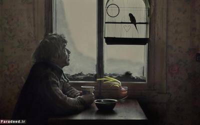 کوروتکی و طوطیش. نام طوطی کِشا است. 