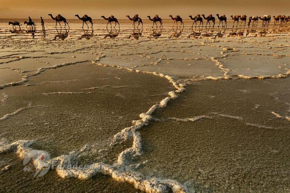 شنزارهای نمک در صحرای