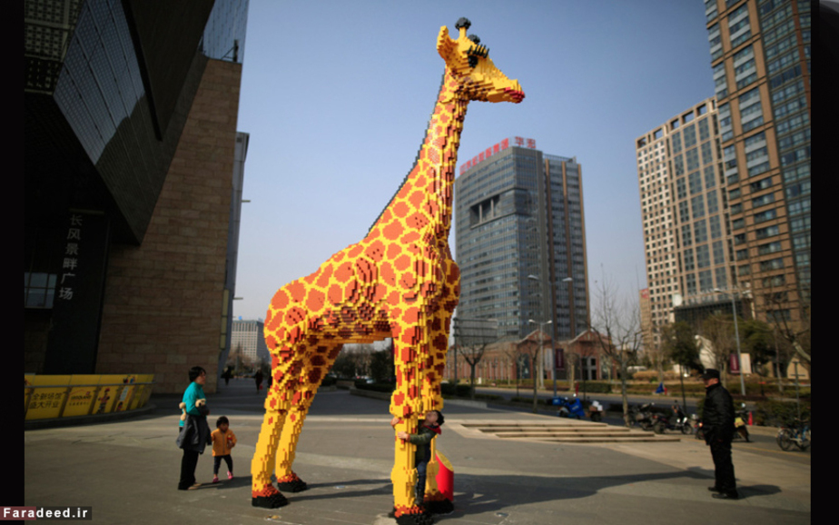 لگوی زرافه 6.16 متری با بیش از 40 هزار لگو در شانگهای، چین